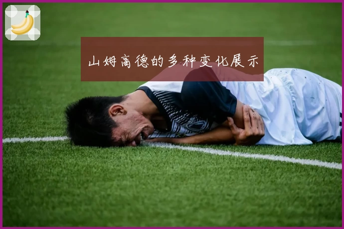 山姆高德的多种变化展示