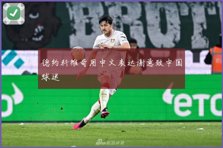 德约科维奇用中文表达谢意致中国球迷