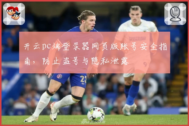 开云pc端登录器网页版账号安全指南，防止盗号与隐私泄露