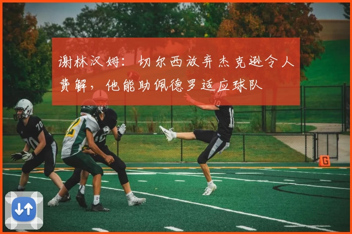 谢林汉姆：切尔西放弃杰克逊令人费解，他能助佩德罗适应球队