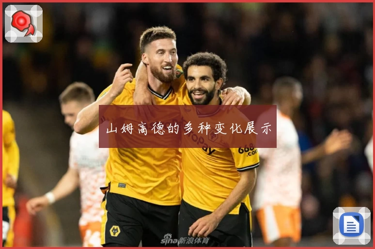 山姆高德的多种变化展示