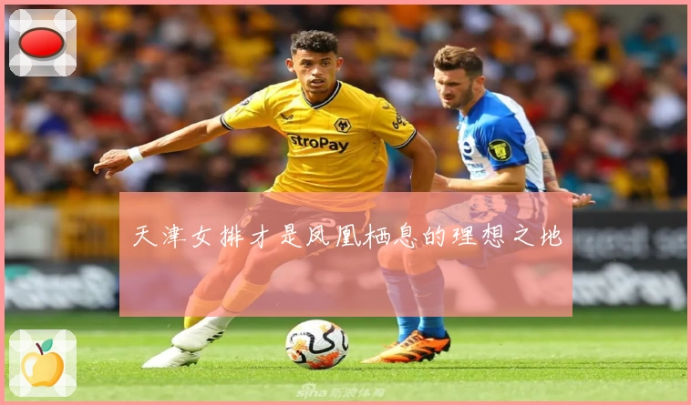 天津女排才是凤凰栖息的理想之地