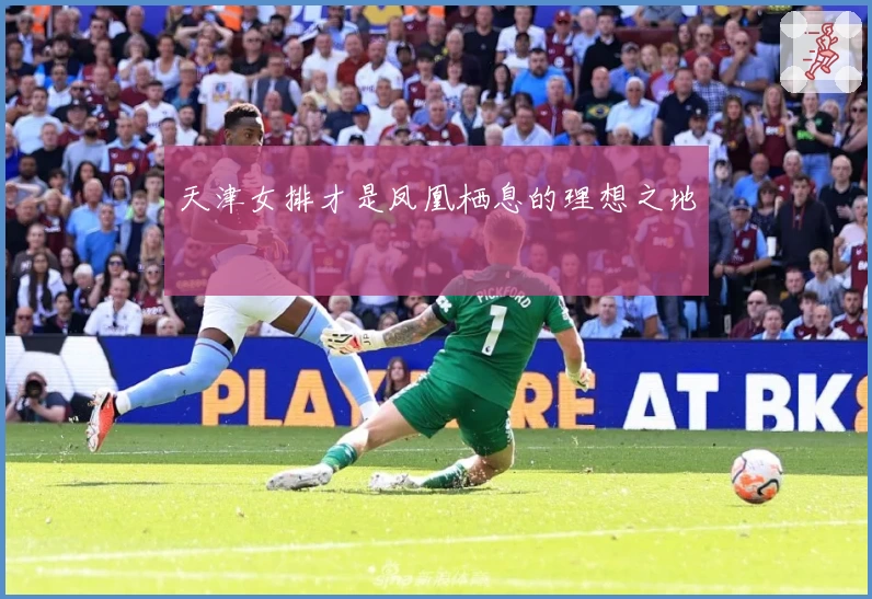 天津女排才是凤凰栖息的理想之地