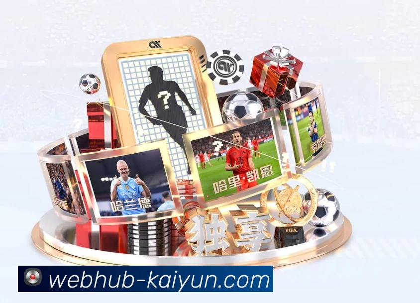 开云平台展示图